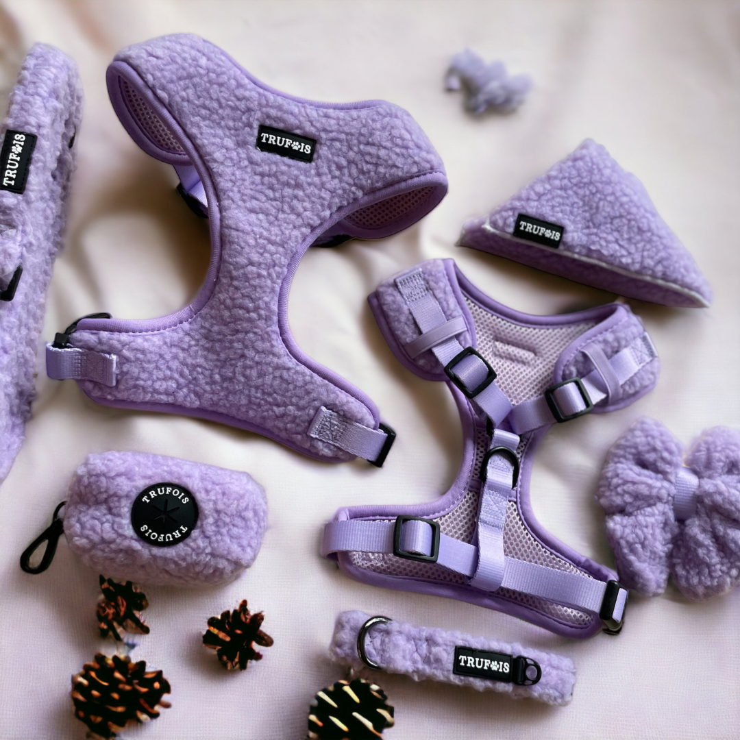 Teddy Dog Accessories. Teddy Adjustable Harness. Teddy Collar. Teddy Hands Free Leashes. Teddy Collection Purple Violet. Teddy Valjaat. Koiran Nalle Tarvikkeet Violetti.
