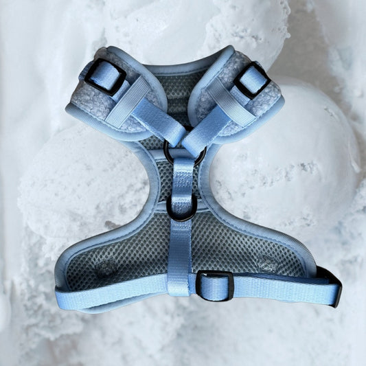 Lite Teddy Harness - Blueberry