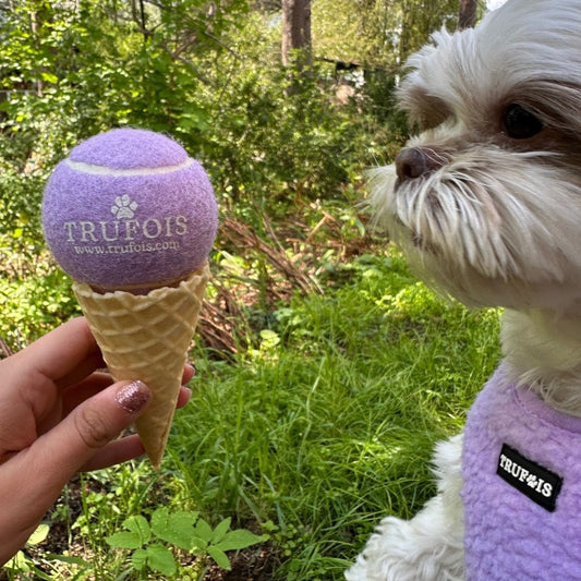 Dog Tennis Ball Purple Trufois
