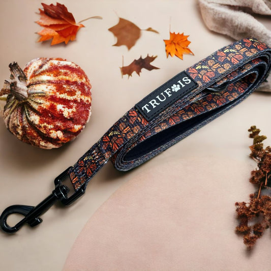 Leash - Fall and Fly