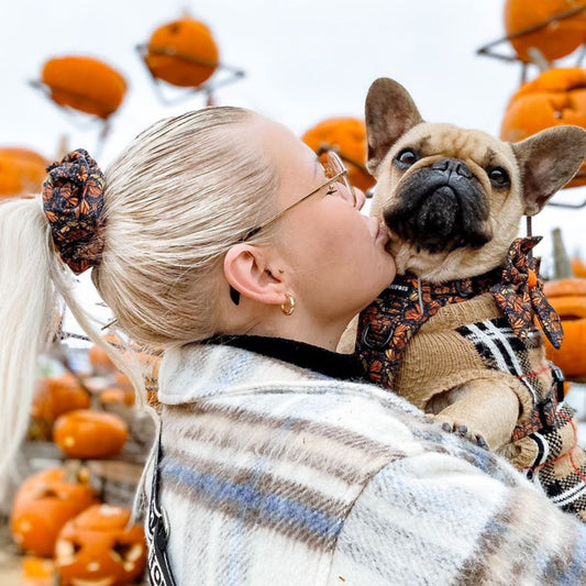 Scrunchie - Fall and Fly