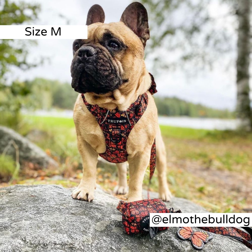 No Pull. Easy Click and Go Step-in design. Discreet Pocket for a Tracking Device. Fully adjustable. Reflective Trim for extra visibility. Sturdy padded grab handle for maximum control (perfect for hikes). Safety lock buckle. Soft, ergonomic model but with durable material.