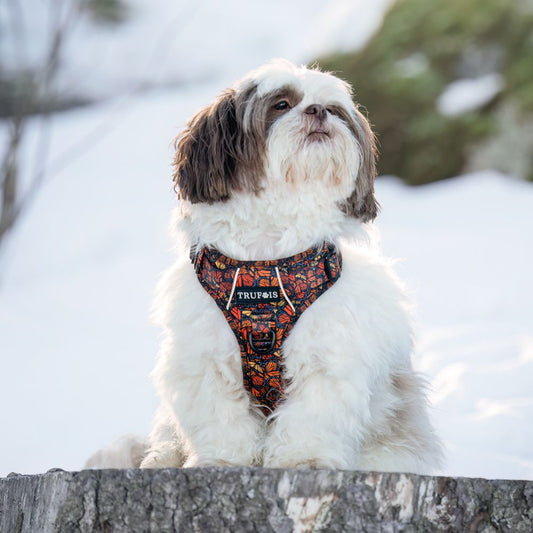 No Pull. Easy Click and Go Step-in design. Discreet Pocket for a Tracking Device. Fully adjustable. Reflective Trim for extra visibility. Sturdy padded grab handle for maximum control (perfect for hikes). Safety lock buckle. Soft, ergonomic model but with durable material.