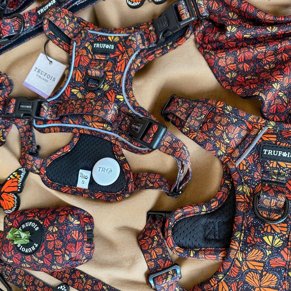 Adjustable Harness Step In No Pull Small Large Dogs Koira Valjaat