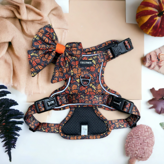 Sisu Adjustable Harness with Fall and Fly Design, featuring Monarch Butterflies and autumn orange colors. Valjaat. Design from Finland. Made in home. Step-In- Click N Go. No pull.
