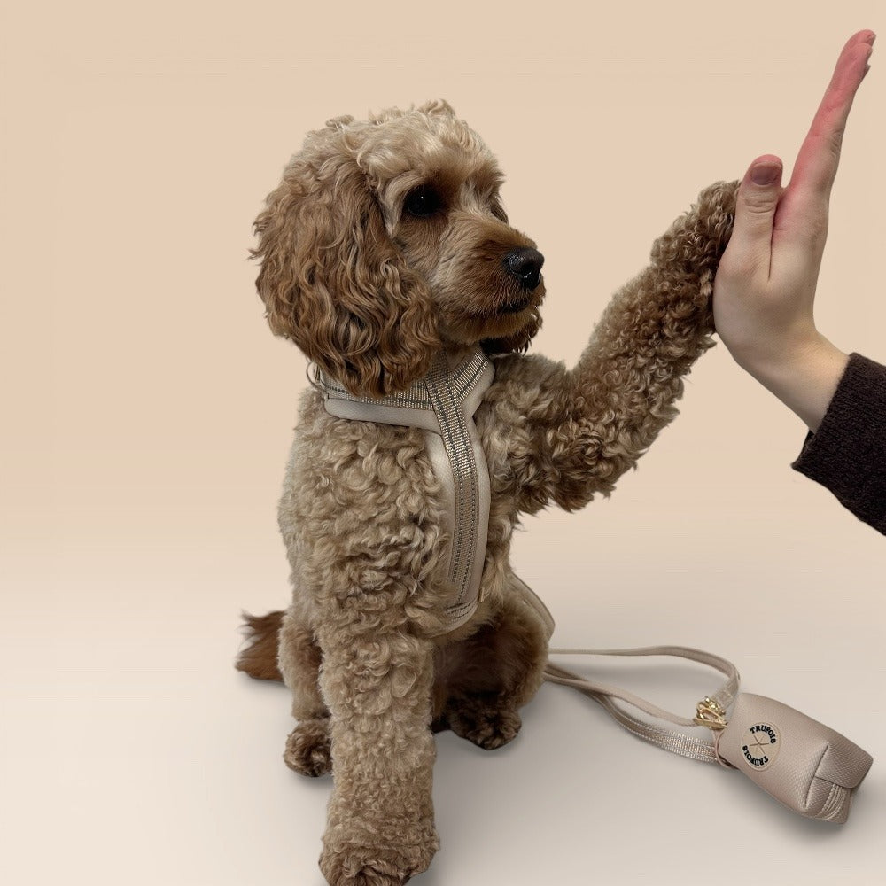 Arnés cómodo - Beige