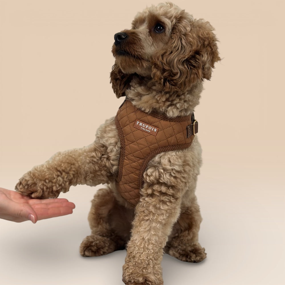 Lite Harness - Macchiato Brown