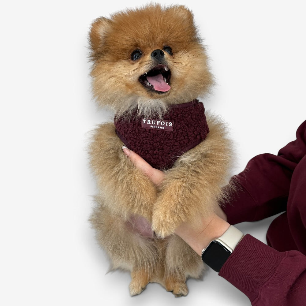 Lite Harness - Teddy Burgundy