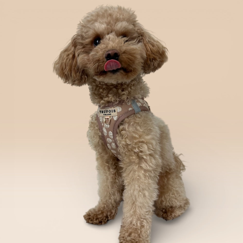 Step-In Harness - Chai