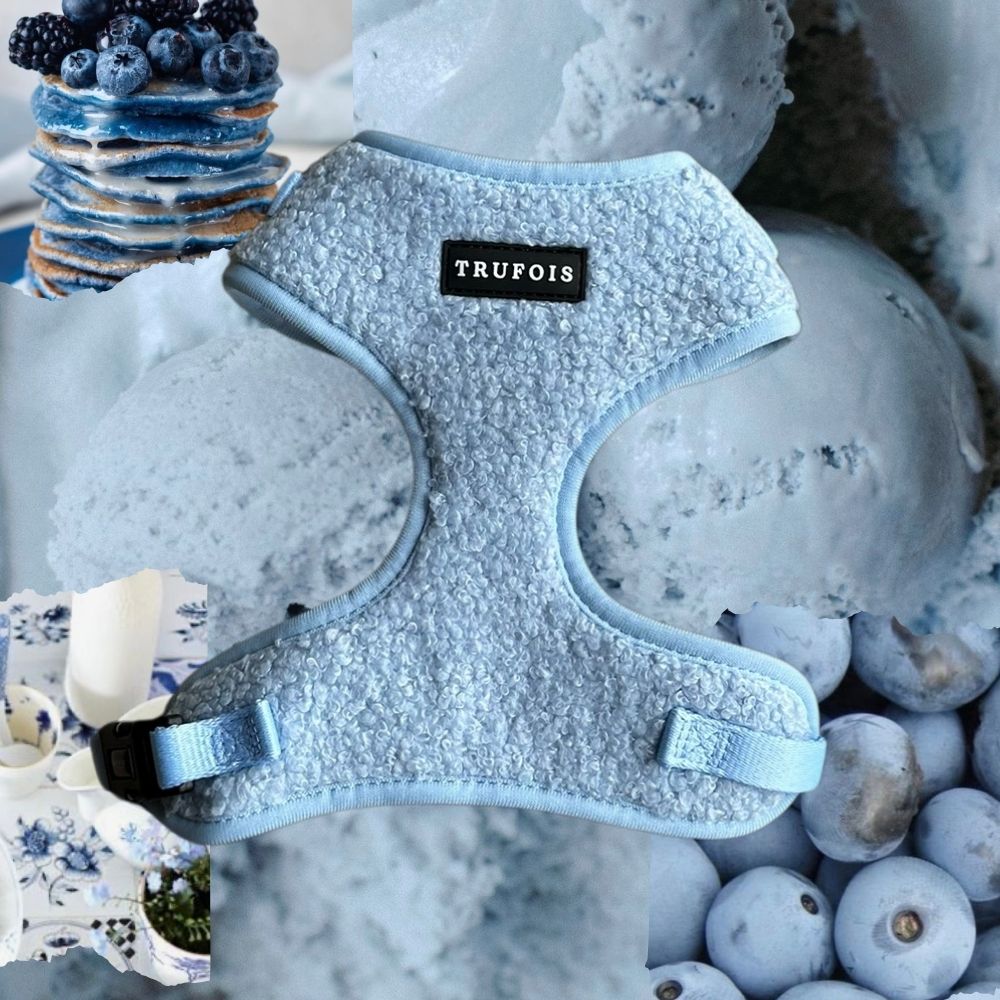 Teddy Dog Accessories. Teddy Adjustable Harness. Teddy Collar. Teddy Hands Free Leashes. Teddy Collection Puppy Blue. Teddy Valjaat. Koiran Nalle Tarvikkeet Sininen.