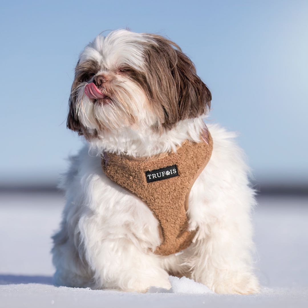 Lite Adjustable Harness Teddy Chocolate Trufois Nalle Valjaat