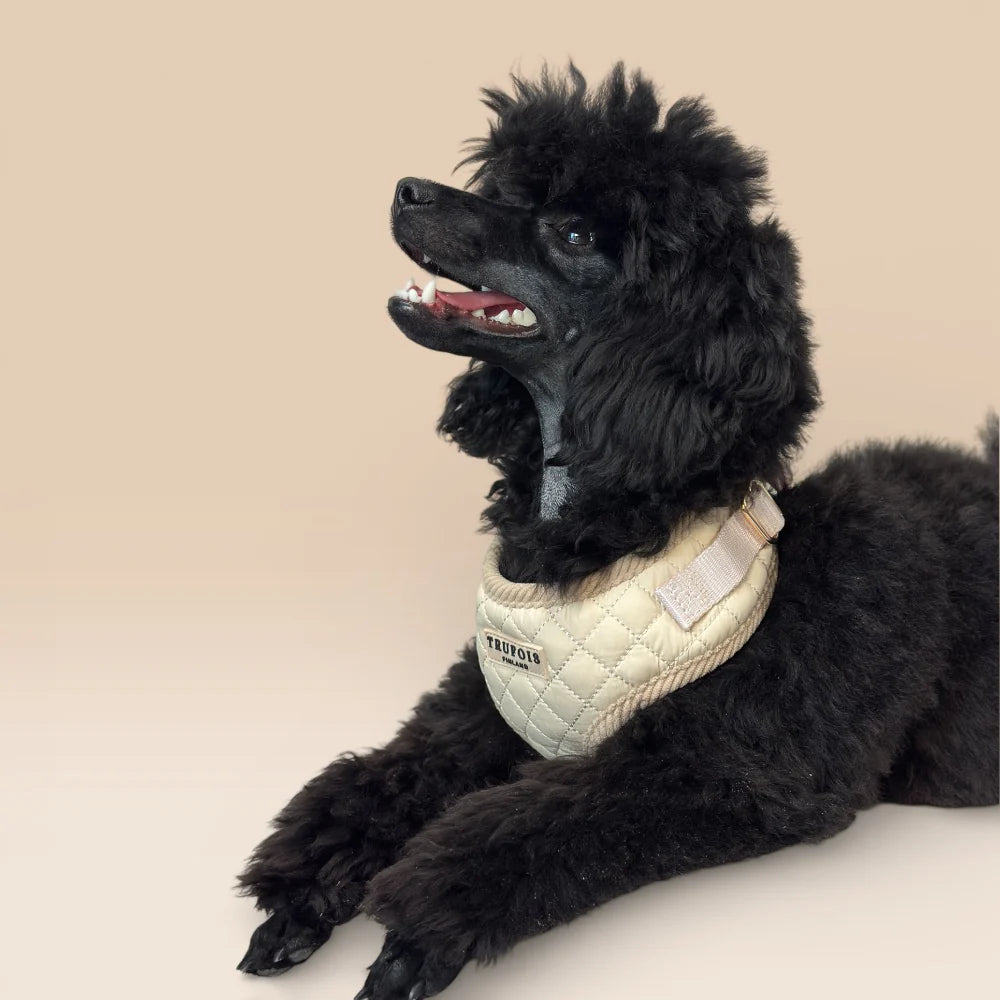 Lite Harness in Latte beige — a lightweight, ergonomic dog harness in soft, creamy tones, designed for comfort and everyday elegance