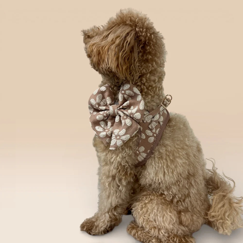 Trufois dog and cat sailor bow in Chai — a rich, soft beige floral accessory with a refined finish, perfect for stylish everyday wear