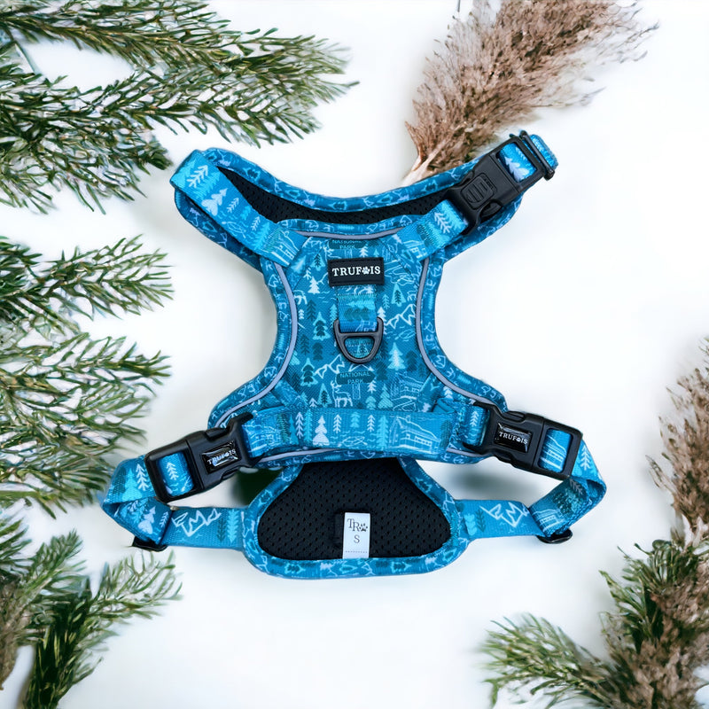 LAKES, TRAILS & TAILS🌲