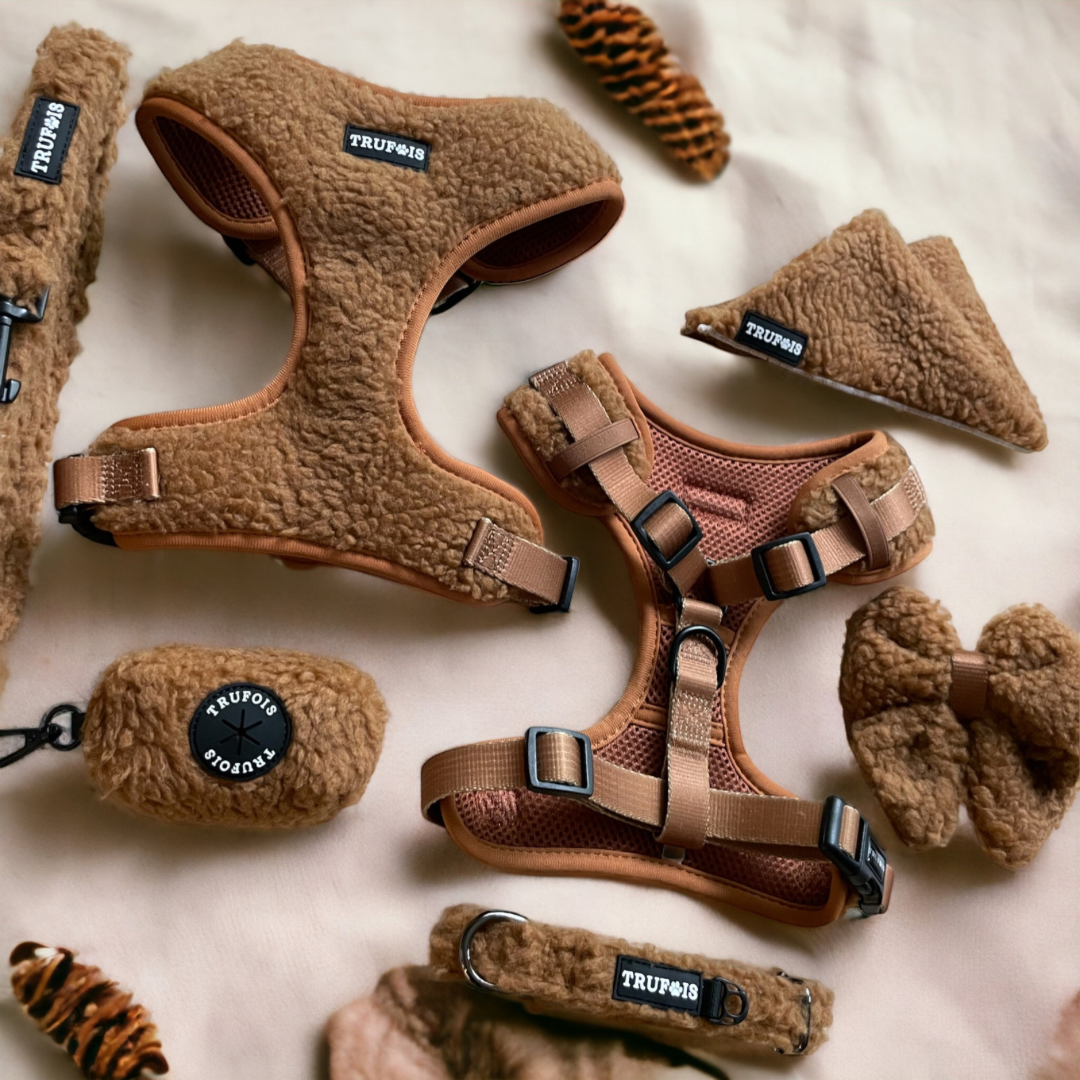 Teddy Dog Accessories. Teddy Adjustable Harness. Teddy Collar. Teddy Hands Free Leashes. Teddy Collection Brown. Teddy Valjaat. Koiran Nalle Tarvikkeet Ruskea. Chocolate.