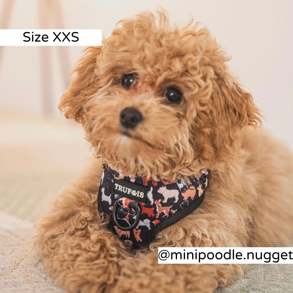 Adjustable Dog Harness. No Pull. Puppies Large Dogs. Reflective Trims. Tracking Device. Ergonomic. Designed in Finland. Koiran Valjaat. Pentu.