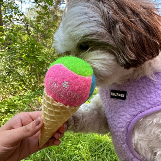 Tennis Dog Ball Multicolor Trufois