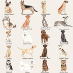 Semi-Custom Pet Portrait T-Shirt, Unisex