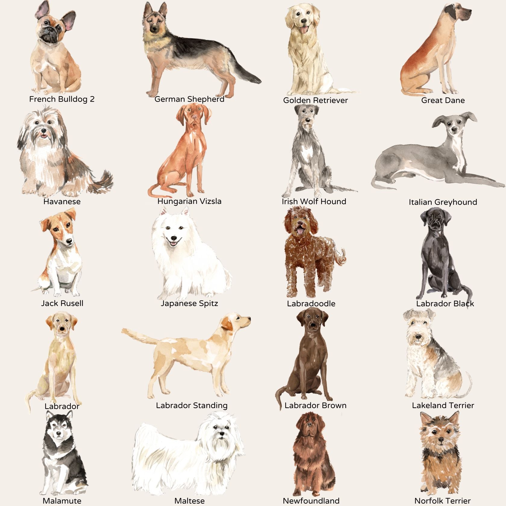 Semi-Custom Pet Portrait T-Shirt, Unisex