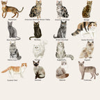 Semi-Custom Pet Portrait T-Shirt, Unisex