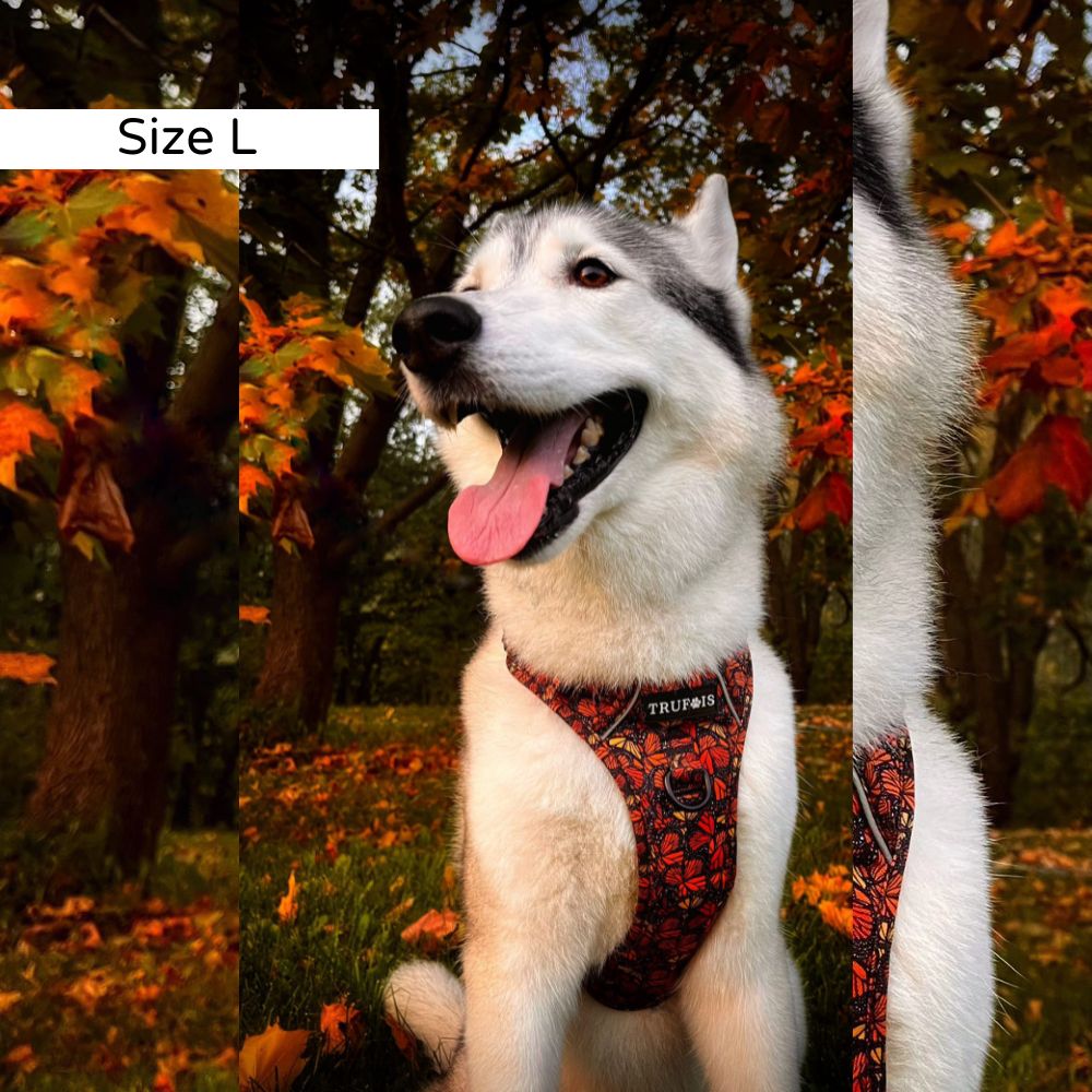 No Pull. Easy Click and Go Step-in design. Discreet Pocket for a Tracking Device. Fully adjustable. Reflective Trim for extra visibility. Sturdy padded grab handle for maximum control (perfect for hikes). Safety lock buckle. Soft, ergonomic model but with durable material.