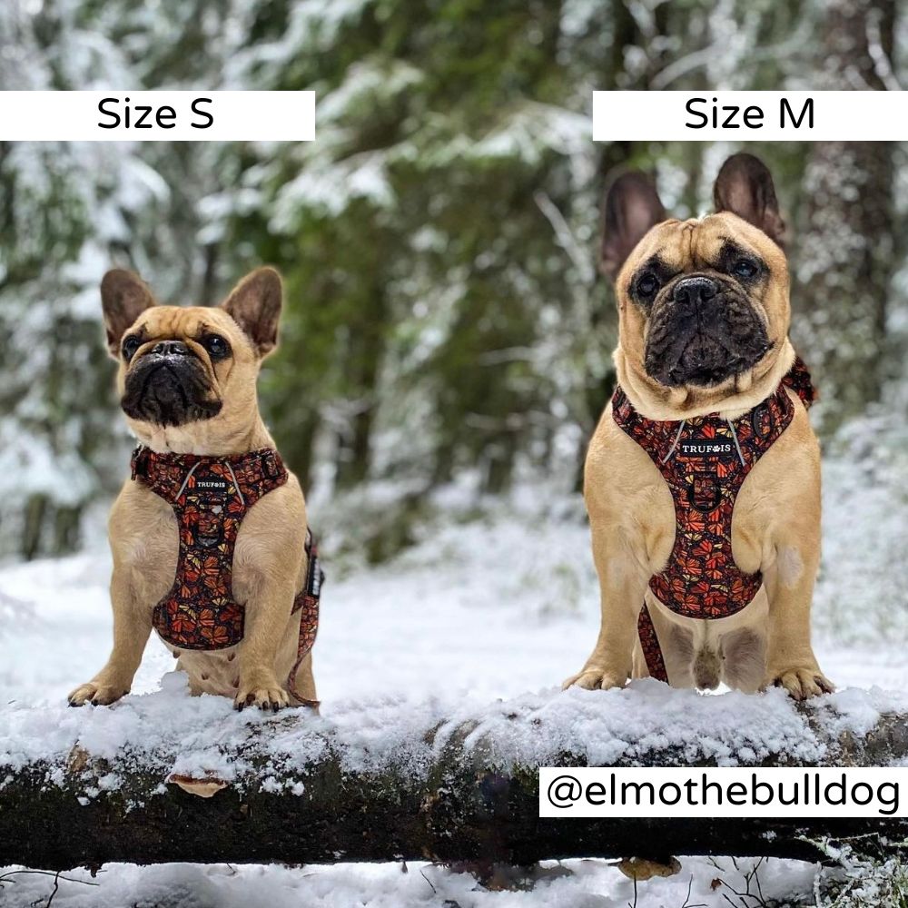 No Pull. Easy Click and Go Step-in design. Discreet Pocket for a Tracking Device. Fully adjustable. Reflective Trim for extra visibility. Sturdy padded grab handle for maximum control (perfect for hikes). Safety lock buckle. Soft, ergonomic model but with durable material.