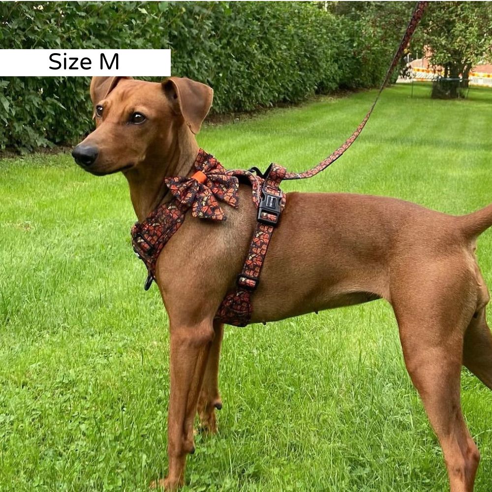 No Pull. Easy Click and Go Step-in design. Discreet Pocket for a Tracking Device. Fully adjustable. Reflective Trim for extra visibility. Sturdy padded grab handle for maximum control (perfect for hikes). Safety lock buckle. Soft, ergonomic model but with durable material.