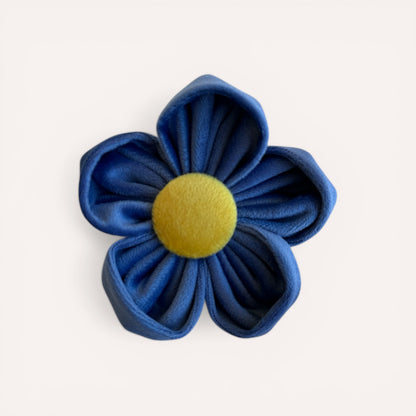 Collar Flower - Forget-Me-Not