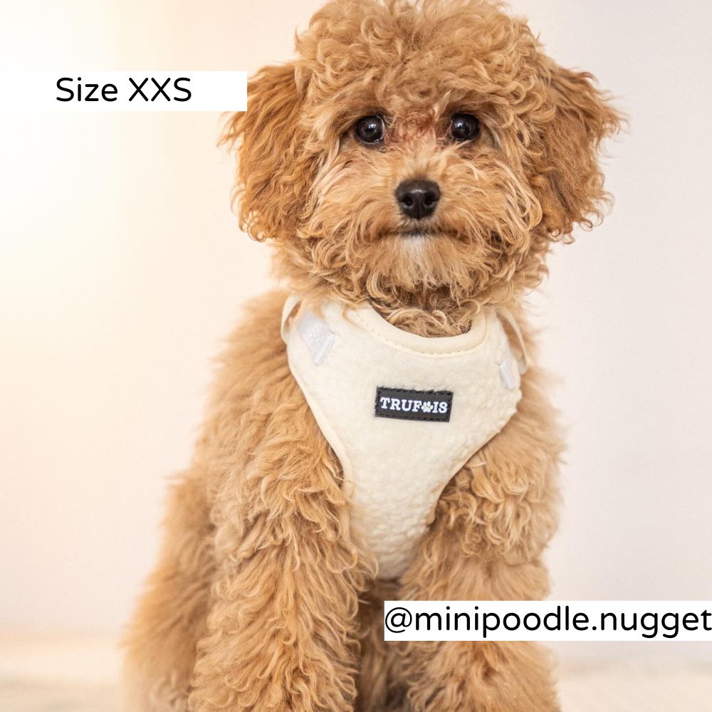 Lite Adjustable Harness Teddy White Airtag Nalle Valjaat Puppy Dog. Nalle Koiratarvikkeet.