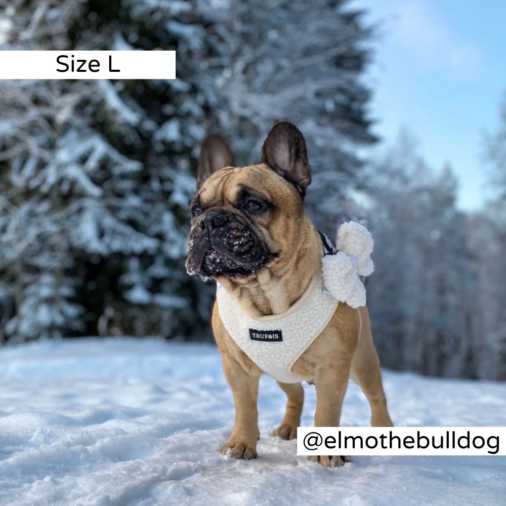 Lite Adjustable Harness Teddy White Airtag Nalle Valjaat Large Dog. 