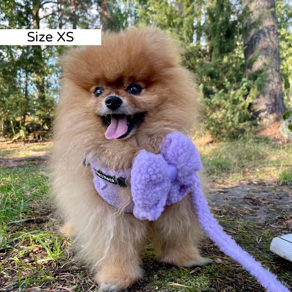 Teddy Harness Puppy Small Large Dog Trufois Koiran Valjaat Nalle koiratarvikkeet Purple Violetti