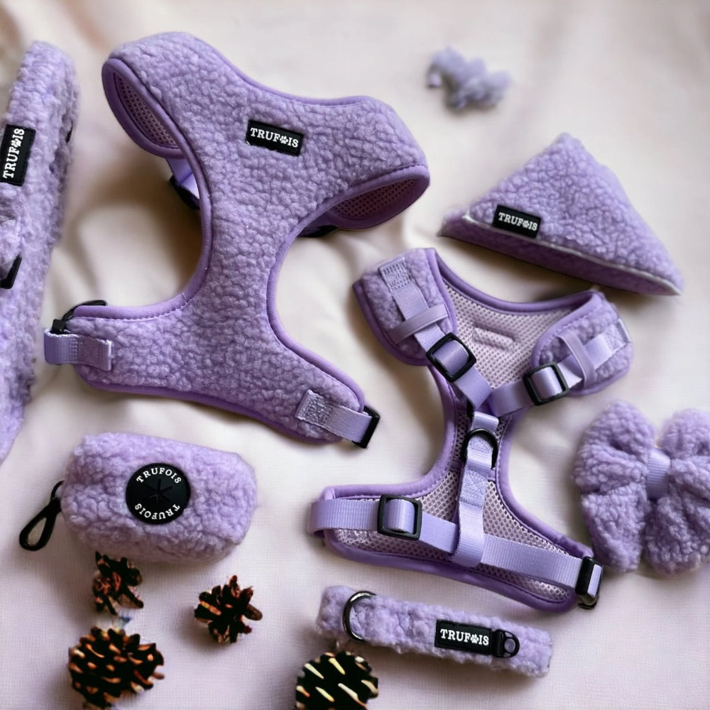 Build-Your-Own Dog Walking Kit Dog Accessories Teddy Koiran Nalle Grape Purple Violet