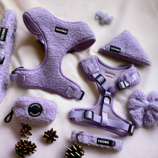Build-Your-Own Dog Walking Kit Dog Accessories Teddy Koiran Nalle Grape Purple Violet