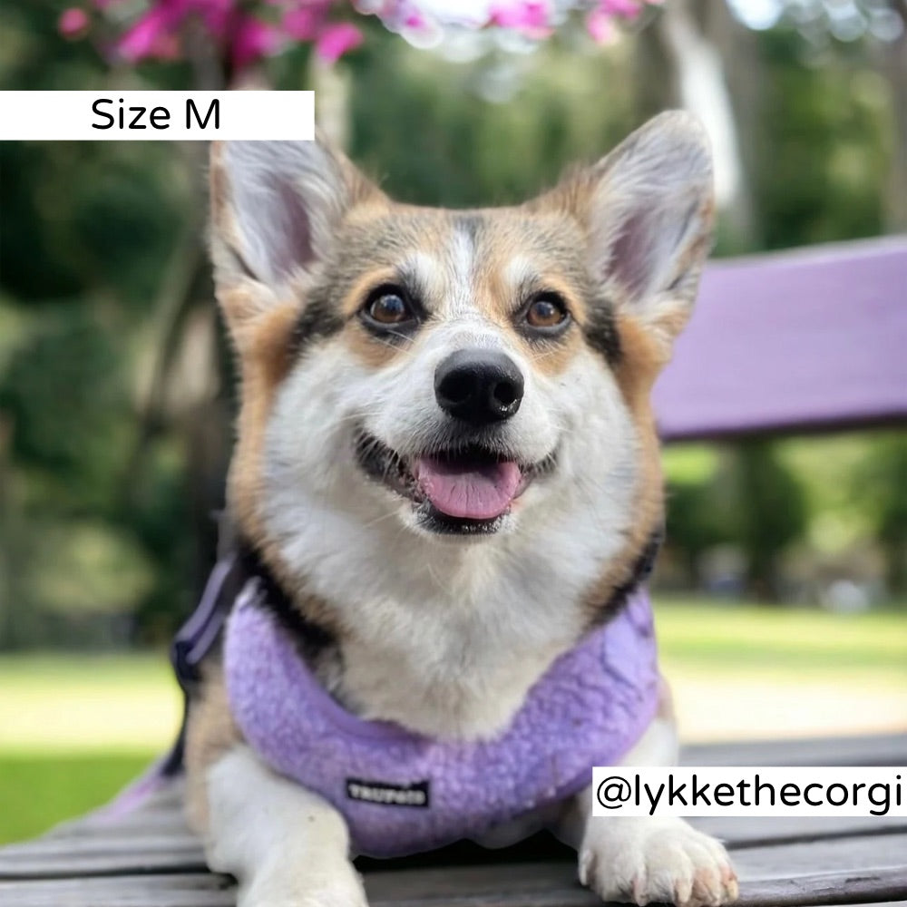 Teddy Harness Puppy Small Large Dog Trufois Koiran Valjaat Nalle koiratarvikkeet Purple Violetti