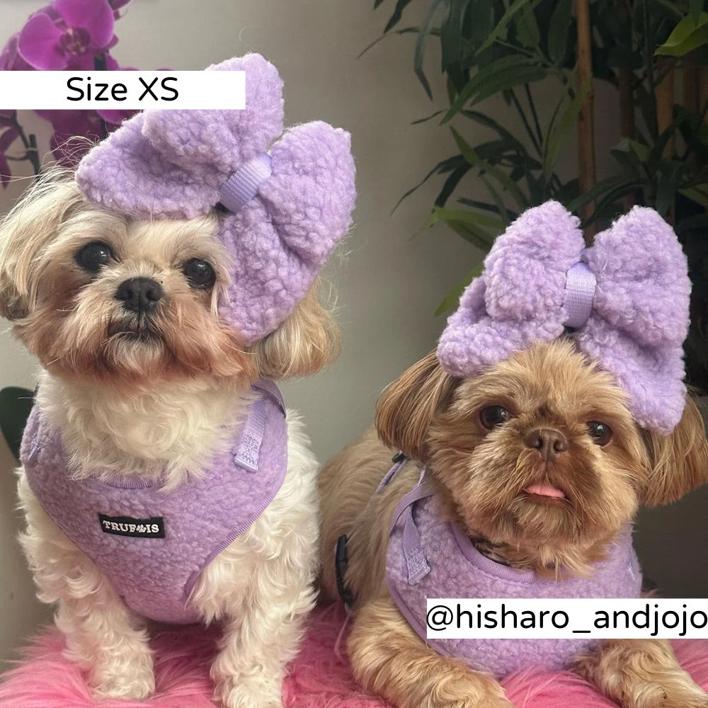 Teddy Harness Puppy Small Large Dog Trufois Koiran Valjaat Nalle koiratarvikkeet Purple Violetti Pentu