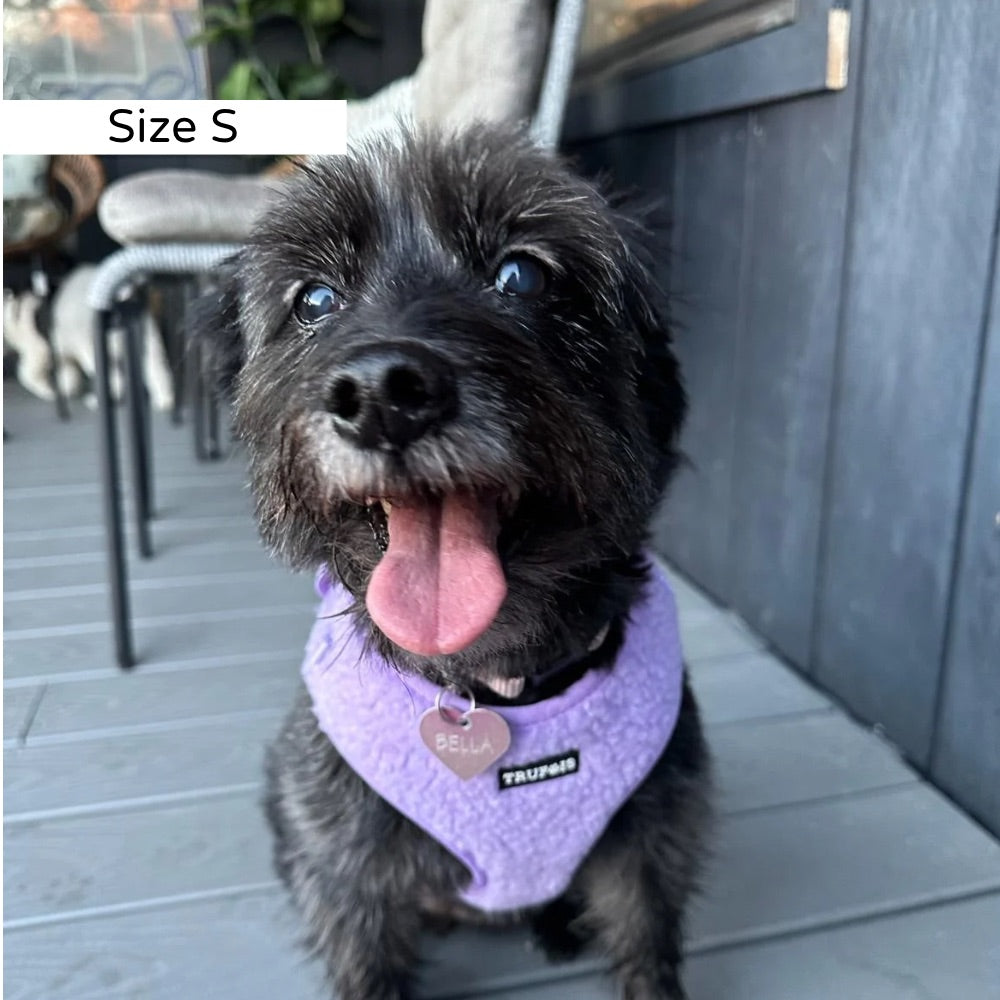 Teddy Harness Puppy Small Large Dog Trufois Koiran Valjaat Nalle koiratarvikkeet Purple Violetti