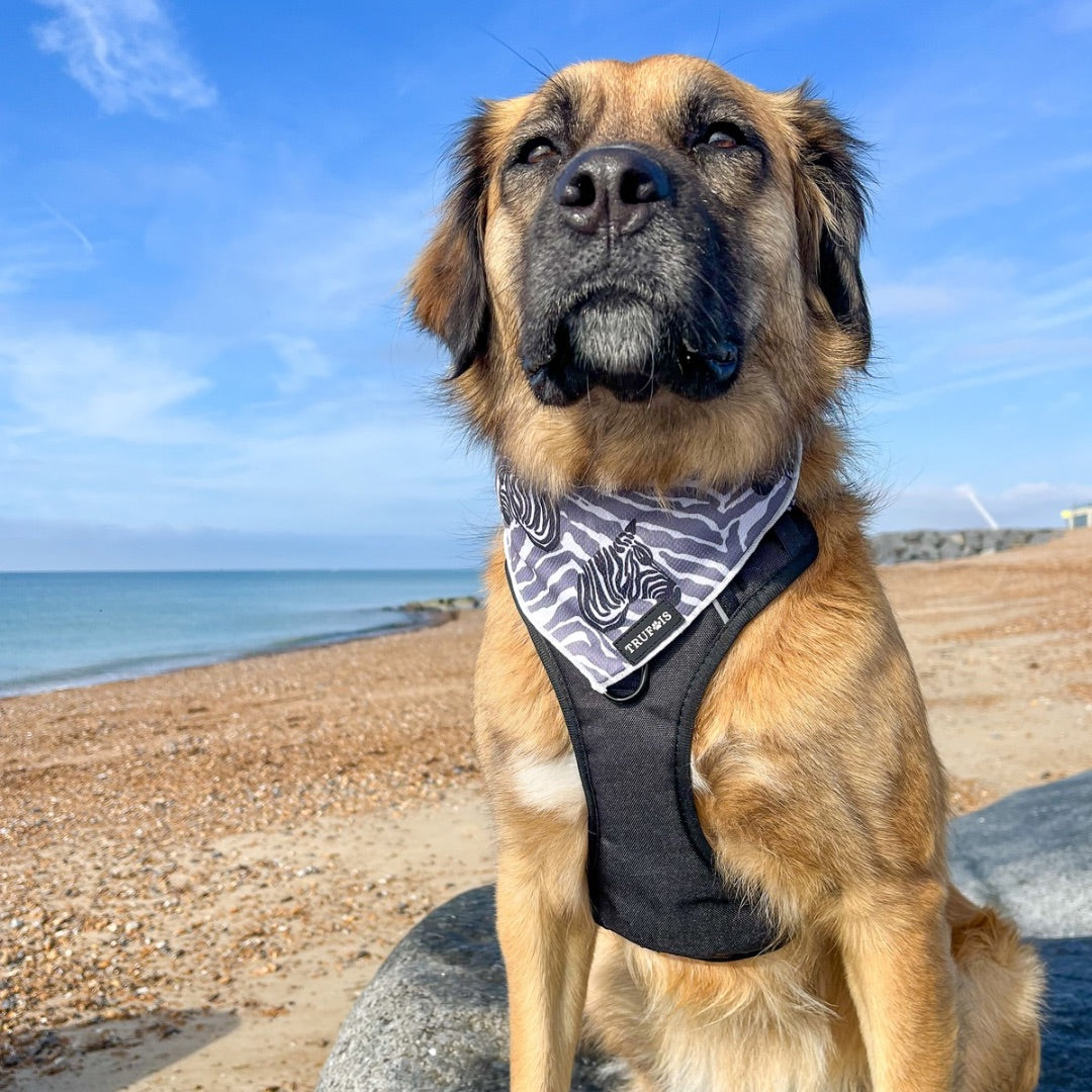 Cooling Bandana - Zebra Essential