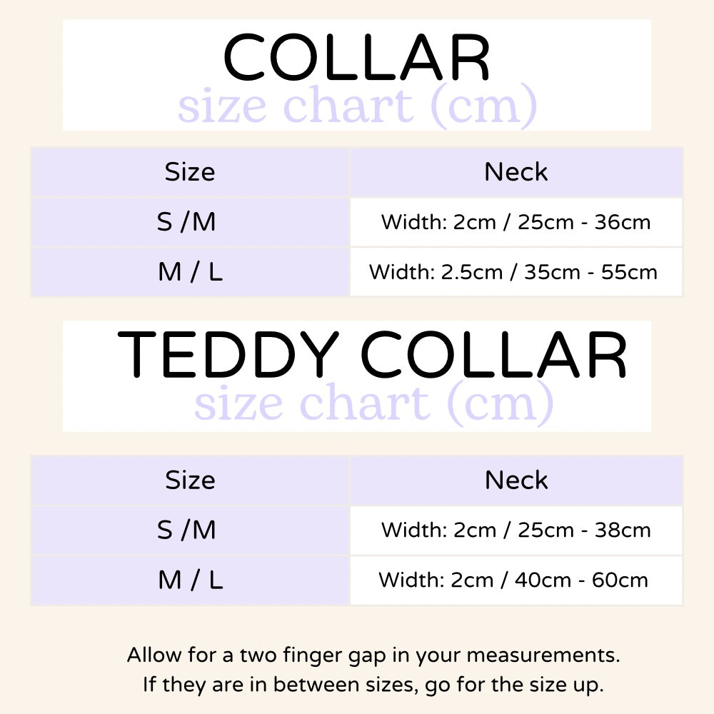 Build-Your-Own Dog Walking Kit - Teddy Grape