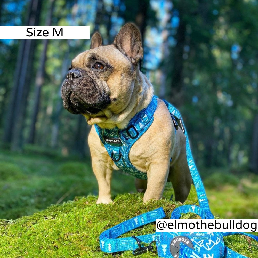 No Pull. Easy Click and Go Step-in design. Discreet Pocket for a Tracking Device. Fully adjustable. Reflective Trim for extra visibility. Sturdy padded grab handle for maximum control (perfect for hikes). Safety lock buckle. Soft, ergonomic model but with durable material.