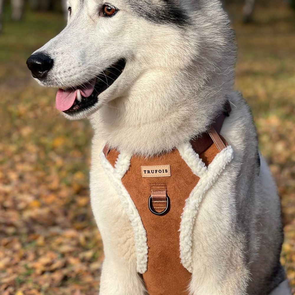 Teddy Sisu Harness - Mocca