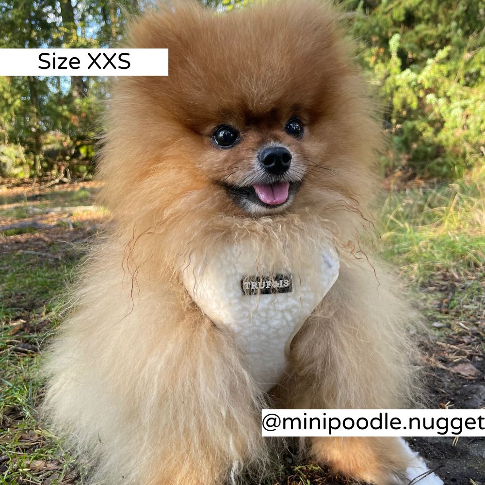 Puppies and Big Dogs. Teddy Dog Harness. Neck and Chest Adjustable. Tracking Pocket. Ergonomic No Pull Design. Soft White Ice Cream. Nalle koiratarvikkeet. Teddy Valjaat