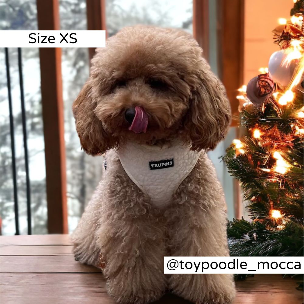 Build your own Teddy Kit. Teddy Dog Harness. Neck and Chest Adjustable. Tracking Pocket. Ergonomic No Pull Design. Soft White Ice Cream. Nalle koiratarvikkeet. Pentu teddy valjaat.