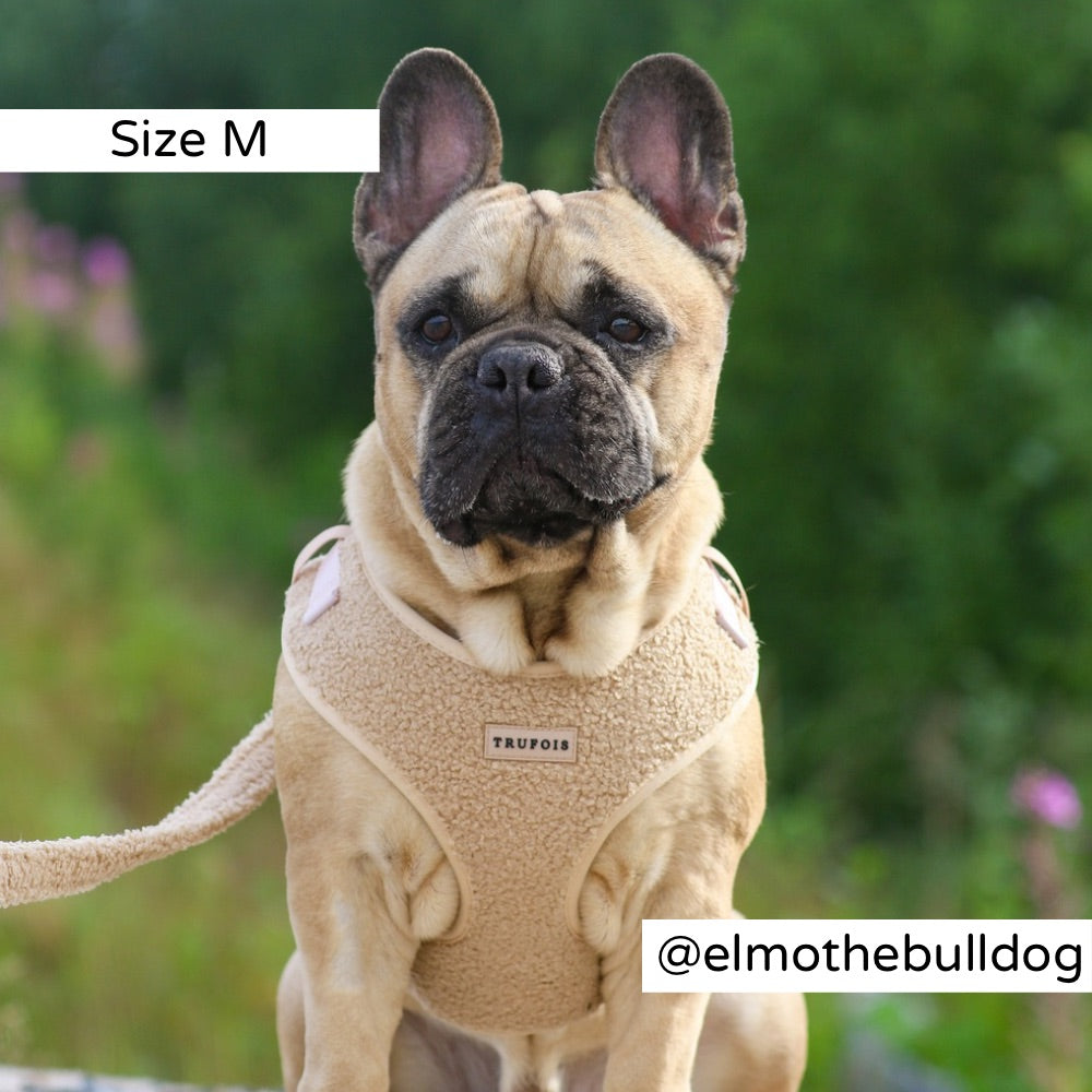 Teddy Koiran Valjaat Cappuccino Trufois Nalle