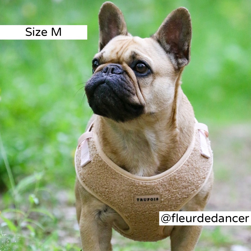 Teddy Koiran Valjaat Cappuccino Trufois Nalle