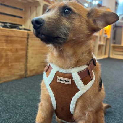 Teddy Sisu Harness - Mocca