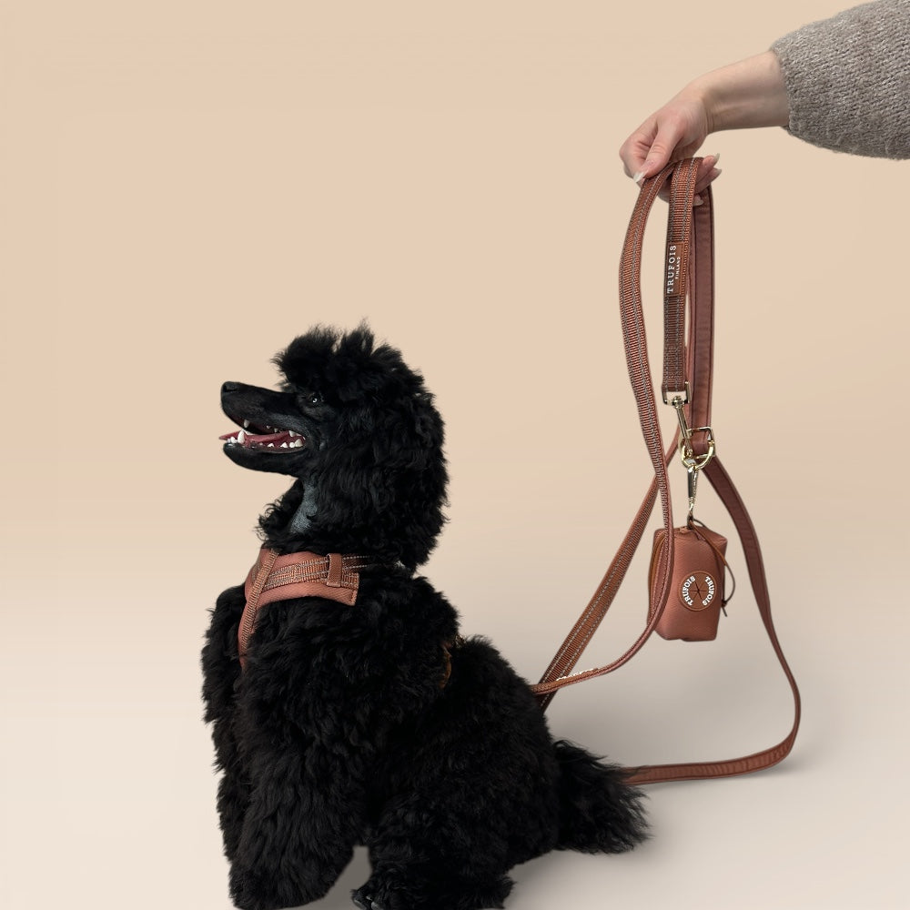 Adjustable Leash - Brown
