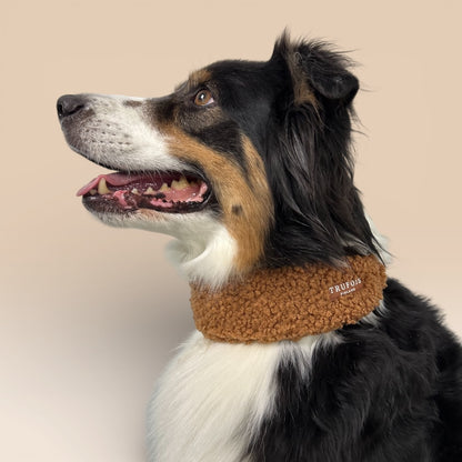 Wide Collar - Chocolate