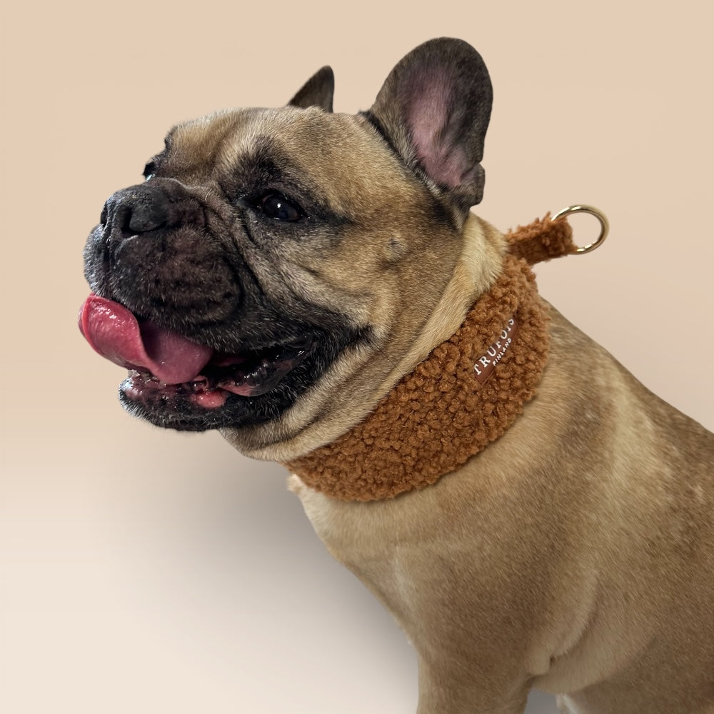 Wide Collar - Chocolate