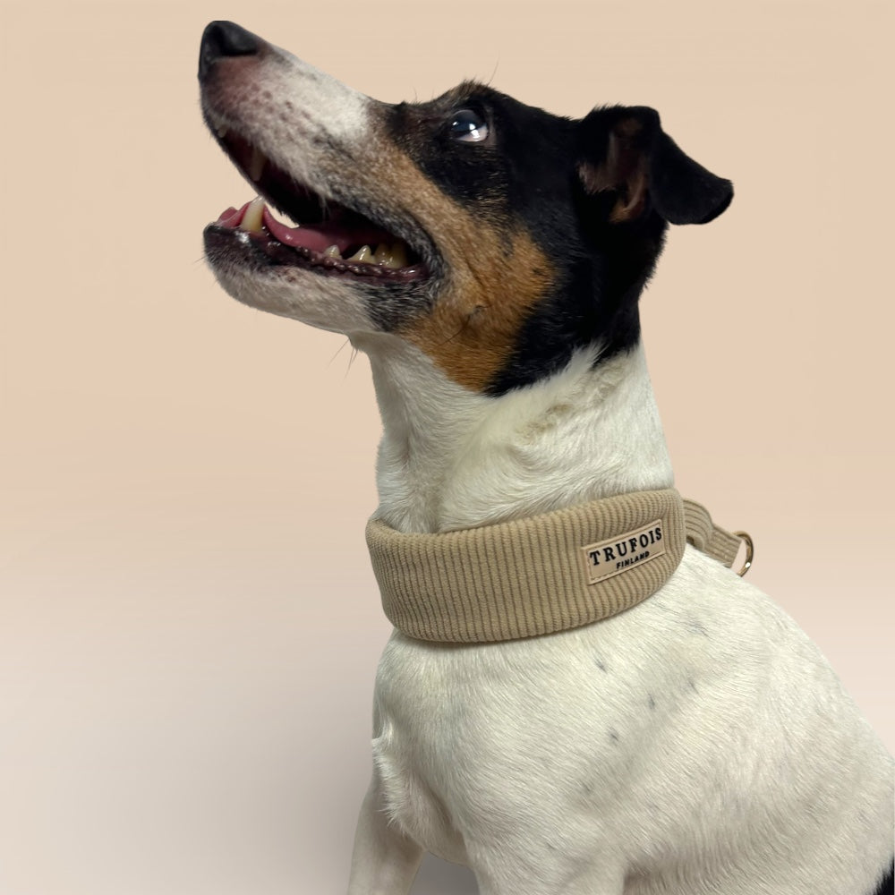 Wide Collar - Latte Beige