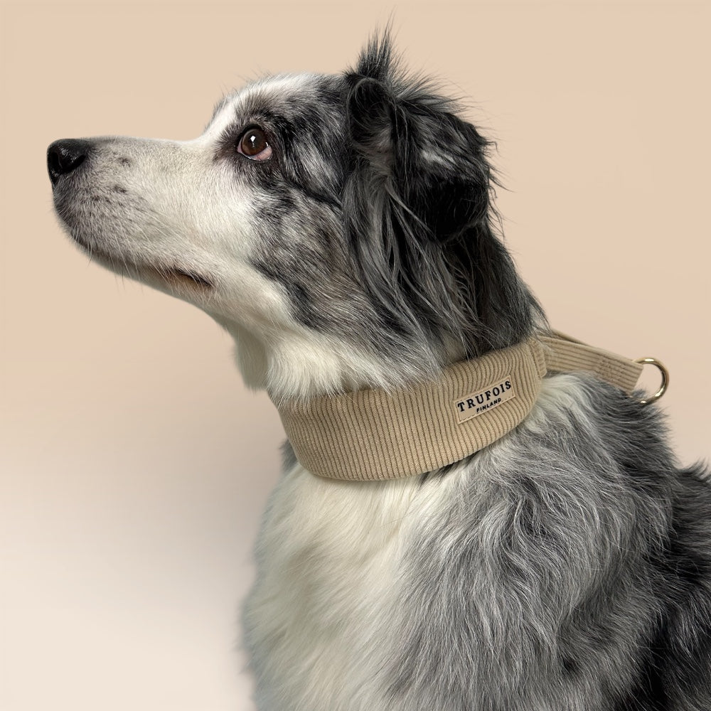 Wide Collar - Latte Beige